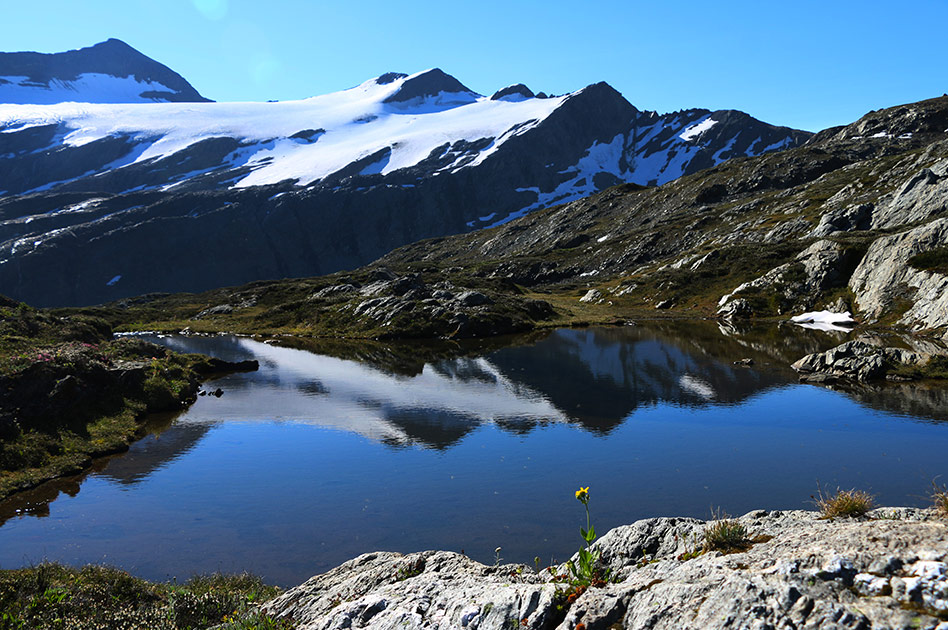 Selkirk Mountain Experience