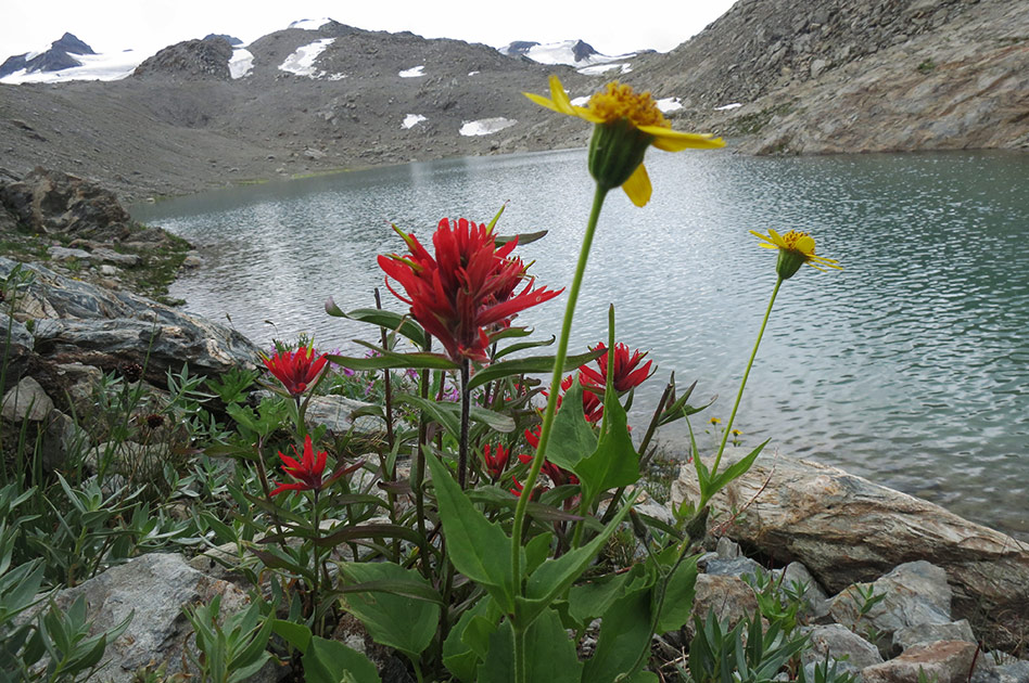 Hiking  at Selkirk Mountain Experience