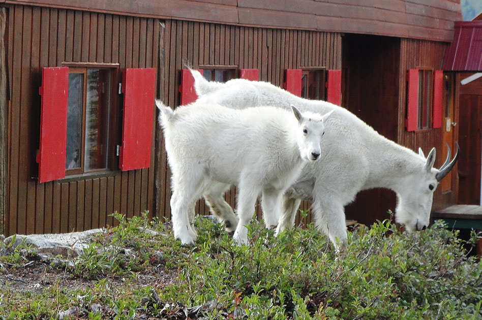 The Durrand Glacier Chalet