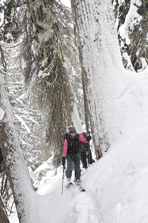 Powder skiing at the Durrand Glacier Chalet