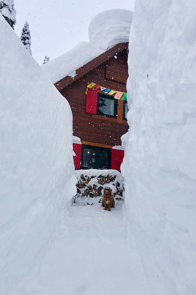 Powder skiing at the Durrand Glacier Chalet