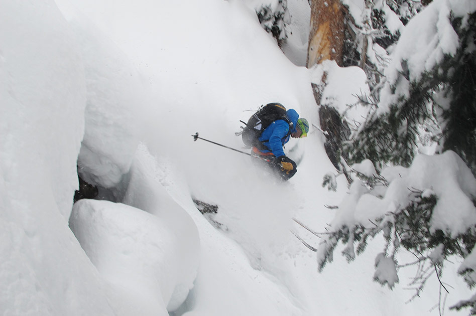 Tree Skiing with Selkirk Mountain Experience