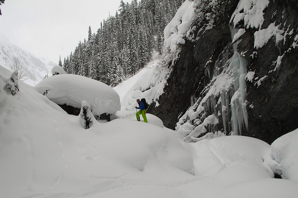 Tree Skiing with Selkirk Mountain Experience