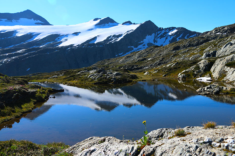 Hiking at Selkirk Mountain Experience